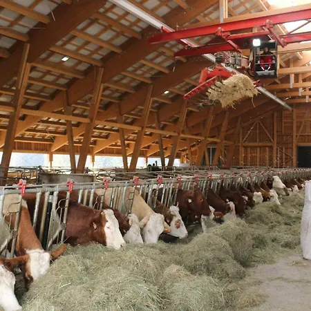 Bauernhof Lindenhof Bed and Breakfast 3*