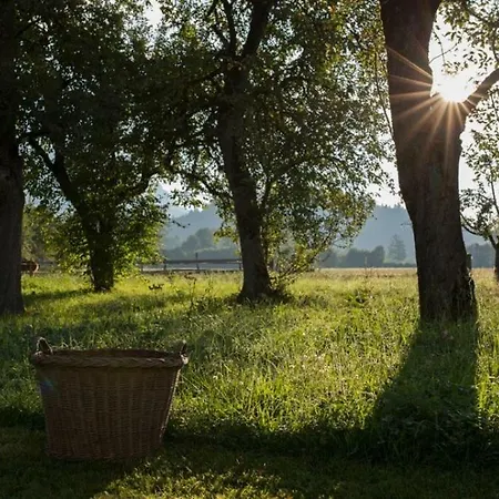 Bauernhof Lindenhof 4* Scheffau am Wilden Kaiser