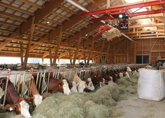 Bauernhof Lindenhof Bed & Breakfast 3*