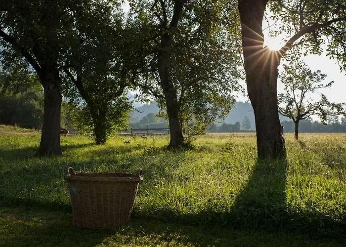 Bauernhof Lindenhof 3* Scheffau am Wilden Kaiser